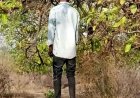 आम के पेड़ पर झूलती मिली लापता युवक की लाश, इलाके में फैली सनसनी, परिजनों में शोक की लहर, आत्महत्या य कुछ और?, जांच में जुटी पुलिस