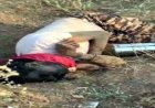 सड़क किनारे मिली हाईवा ड्राइवर की लाश, गांव में दहशत का माहौल, लोगों में तरह तरह की चर्चाएं, हत्या या हादसा?, पुलिस हर एंगल से कर रही मामले की जांच
