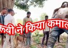 जंगल में मिली 17 वर्षीय युवक की लाश, शरीर पर मिले चोट के निशान, हत्या की आशंका, इलाके में मचा हड़कंप, रुबी की मदद से पुलिस की हिरासत में दो संदेही
