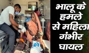 तेंदूपत्ता संग्रहण के दौरान भालू का जानलेवा हमला, 60 वर्षीय बुजुर्ग महिला गंभीर रूप से घायल, अस्पताल में भर्ती, इलाज जारी, साथियों की सूझबूझ से बची जान