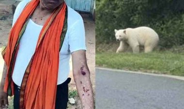 गरियाबंद जिले में तेंदुए की दस्तक, रात में अकेले बाहर निकलने पर रोक, अलर्ट मोड पर वन विभाग, इधर सफेद भालू ने ग्रामीण पर किया जानलेवा हमला, मचा हड़कंप