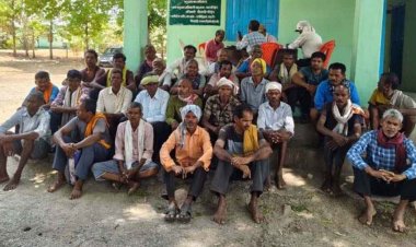 उदंती सीतानदी टाइगर रिजर्व में 15 साल में काटे गए करीब 1 लाख पेड़, 36 आरोपियों के बयान दर्ज, अग्रिम जमानत याचिका रद्द, आज सरेंडर करने की संभावना