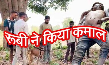 जंगल में मिली 17 वर्षीय युवक की लाश, शरीर पर मिले चोट के निशान, हत्या की आशंका, इलाके में मचा हड़कंप, रुबी की मदद से पुलिस की हिरासत में दो संदेही