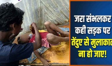 फिर लौटा खूंखार तेंदुआ, 5 दिन में तीसरा हमला, तालाब में नहा रही 6 साल की मासूम को बनाया निशाना, खट्टी गांव में दहशत, गर्दन पर तेंदुए के दांत के निशान