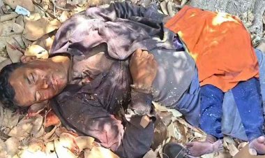 फिंगेश्वर में दर्दनाक हादसा, पेड़ काटने के दौरान बरगद के विशाल डंगाल की चपेट में आने से ग्रामीण की मौत, साथी की बाल-बाल बची जान, मचा हड़कंप
