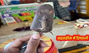 शादी में परोसी गई आइसक्रीम में निकली छिपकली, मेहमानों के उड़े होश, मची अफरा-तफरी, प्रशासन से जांच की मांग, स्वास्थ्य सुरक्षा पर उठ रहे सवाल