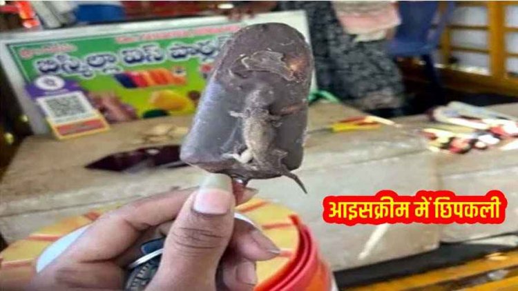 शादी में परोसी गई आइसक्रीम में निकली छिपकली, मेहमानों के उड़े होश, मची अफरा-तफरी, प्रशासन से जांच की मांग, स्वास्थ्य सुरक्षा पर उठ रहे सवाल