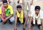 गांव में सर्च ऑपरेशन, 13 संदिग्धों के घरों की तलाशी, शिकार के फंदे-सागौन स्लीपर और वन्यजीव अवशेष भारी मात्रा में बरामद, 6 आरोपी गिरफ्तार