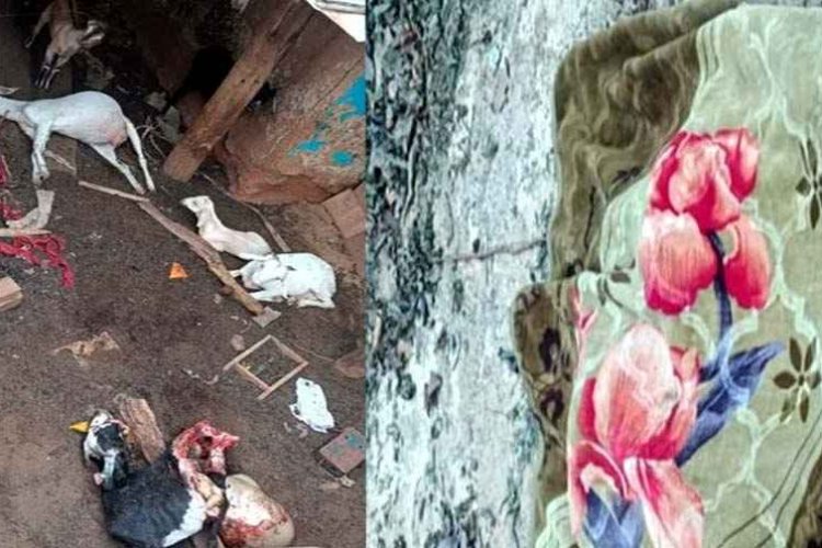 सड़क किनारे सो रहे 2 मजदूरों को हाथी ने कुचला, सड़क&निर्माण में लगे दो श्रमिकों की मौत, इधर घर&बाड़ी में घुसकर तेंदुए ने किया बकरियों का शिकार
