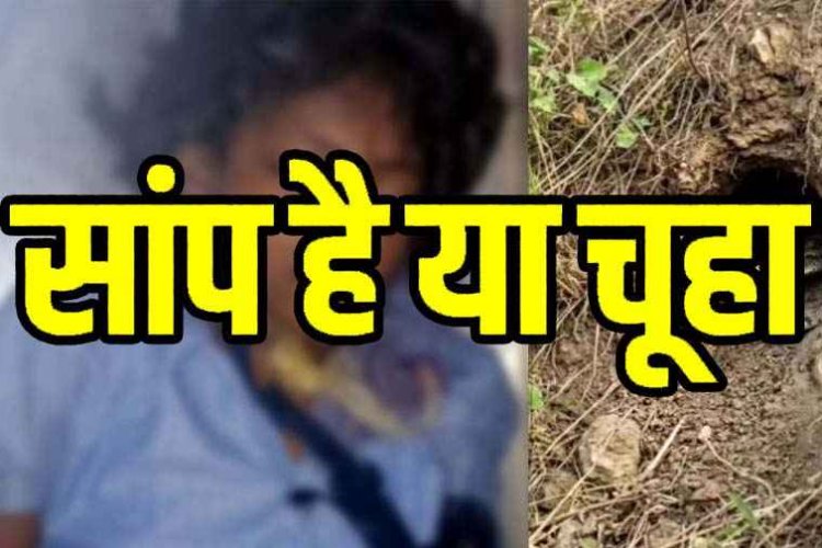 चूहे के बिल से निकले सांप ने घर में सोने के दौरान डसा, परिवार ने समझा कीड़ा काटा, 11 वर्षीय मासूम बच्ची की इलाज के दौरान मौत, परिवार में पसरा मातम