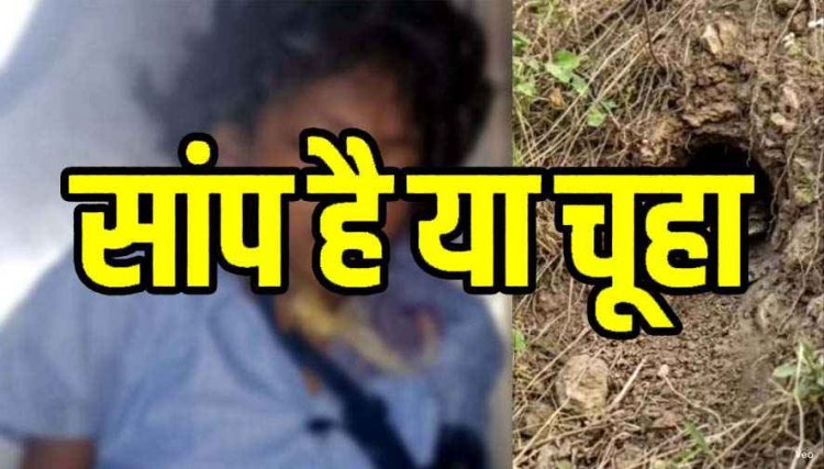 चूहे के बिल से निकले सांप ने घर में सोने के दौरान डसा, परिवार ने समझा कीड़ा काटा, 11 वर्षीय मासूम बच्ची की इलाज के दौरान मौत, परिवार में पसरा मातम
