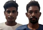 हाथियों को पत्थर मारने और पटाखे फोड़ने वालों पर एक्शन, सोशल मीडिया पर वीडियो वायरल, जांच के बाद दो आरोपी गिरफ्तार, वन विभाग ने दी चेतावनी