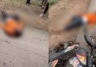 घर पहुंचने से पहले काल बनकर आया हादसा, पीछे से वाहन ने मारी टक्कर, सड़क हादसे में 55 वर्षीय ग्रामीण की दर्दनाक मौत, गांव में शोक की लहर