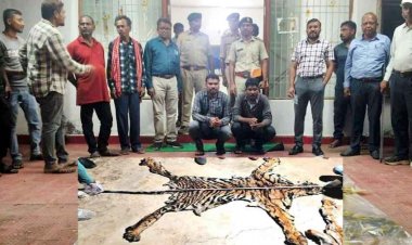 बाघ खाल तस्करी मामले में वन विभाग की बड़ी प्रशासनिक कार्रवाई, पासेवाड़ा रेंजर, डिप्टी रेंजर और बीट गार्ड सस्पेंड, 7 आरोपी भेजे गए जेल