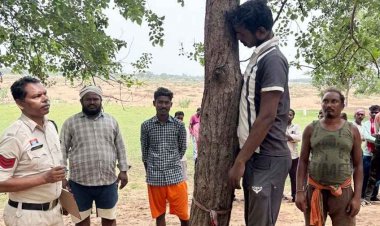 करेली बड़ी निवासी 25 वर्षीय युवक का जंगल में पेड़ से लटका मिला शव, इलाके में फैली सनसनी, जांच में जुटी पुलिस, गांव में तरह-तरह की चर्चाएं