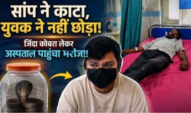 हिम्मत हो तो ऐसी!, रेस्क्यू के दौरान कोबरा ने डसा तो उसी जिंदा सांप को डिब्बे में बंद कर अस्पताल पहुंच गया युवक, डॉक्टर भी रह गए हैरान