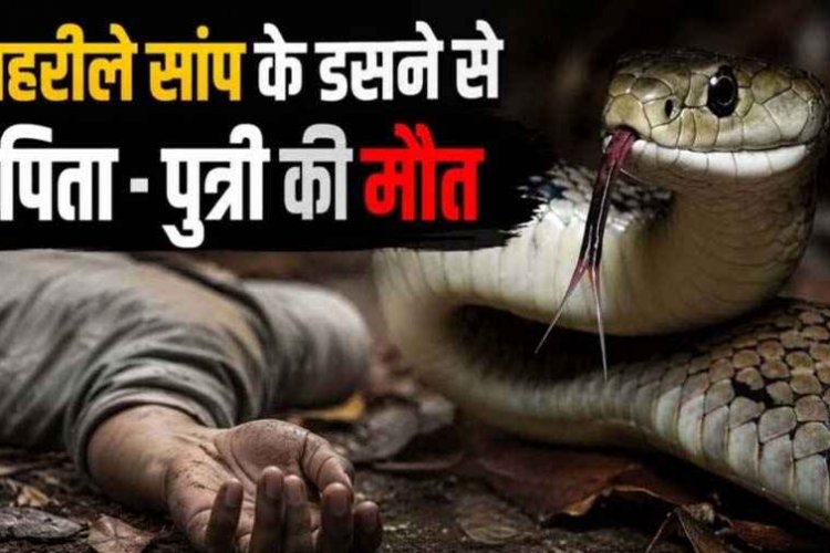 काल बनी जमीन की नींद, सांप काटने से पिता&बेटी व मौसी के साथ सो रही 13 वर्षीय बच्ची की मौत, अस्पताल ले जाने के बजाय झाड़फूंक करवाते रहे परिजन