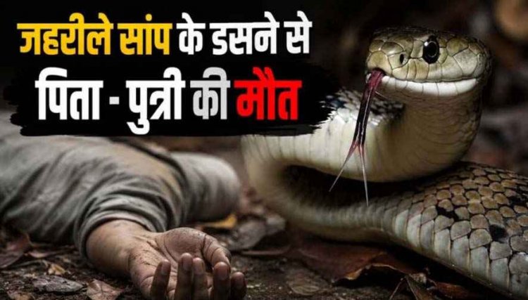 काल बनी जमीन की नींद, सांप काटने से पिता-बेटी व मौसी के साथ सो रही 13 वर्षीय बच्ची की मौत, अस्पताल ले जाने के बजाय झाड़फूंक करवाते रहे परिजन