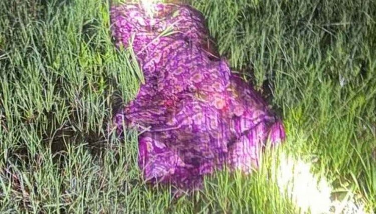 रायपुर में तीन संदिग्ध मौतों से बढ़ी चिंता, प्लॉट में मिली महिला की लाश, रेप के बाद मर्डर की आशंका, शव छिपाने की कोशिश, इधर युवक की हत्या की आशंका