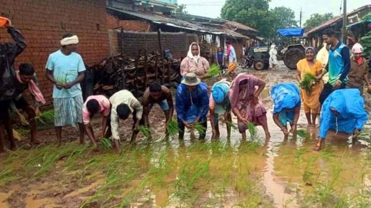 सड़क निर्माण में देरी पर फूटा ग्रामीणों का गुस्सा, सड़क पर धान की रोपाई कर जताया विरोध, नागर भी चलाया, अनोखा प्रदर्शन कर दी उग्र आंदोलन की चेतावनी