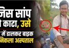 जानलेवा दुस्साहस-लोग हैरान, गले में जिंदा सांप लपेटकर अस्पताल पहुंचा युवक, बोला-‘यही है जिसने मुझे काटा, सोशल मीडिया पर वीडियो जमकर वॉयरल