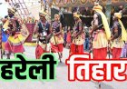 मुख्यमंत्री निवास में हरेली तिहार का आयोजन, कृषि उपकरणों और ग्रामीण परिवेश की झलक बनी आकर्षण, ग्रामीण परिवेश में सजा CM हाउस, गेड़ी पर चढ़े साय