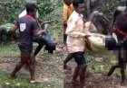 तालाब में डूबने से दंपति की मौत, एक महिला की ग्रामीणों ने बचाई जान, गांव में पसरा मातम, सरकारी वाहन नहीं मिलने से प्राइवेट गाड़ी से अस्पताल पहुंचाए शव