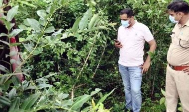 6 दिन से लापता महिला का कबीरधाम के जंगल में मिला कंकाल, पेड़ से बंधी मिली साड़ी, चूड़ियों से हुई पहचान, फैली सनसनी, फोरेंसिक जांच में जुटी पुलिस