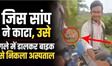 जानलेवा दुस्साहस-लोग हैरान, गले में जिंदा सांप लपेटकर अस्पताल पहुंचा युवक, बोला-‘यही है जिसने मुझे काटा, सोशल मीडिया पर वीडियो जमकर वॉयरल