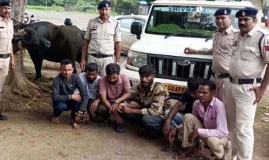 अवैध मवेशी परिवहन पर दुर्ग पुलिस का शिकंजा, मवेशियों से भरी पिकअप पकड़ी, 6 आरोपी गिरफ्तार, हिरासत में 2 नाबालिग, बाइक समेत तीन वाहन जप्त