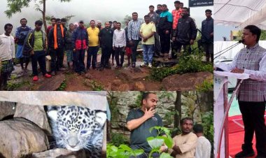 बस्तर के बीहड़ों में 48 घंटे चला 'ऑपरेशन रियूनाइट', DFO दीपेश कपिल और वन विभाग की टीम एवं ग्रामीणों की तत्परता से मिले बिछड़े तेंदुए के दो शावक