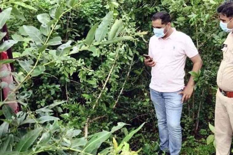 6 दिन से लापता महिला का कबीरधाम के जंगल में मिला कंकाल, पेड़ से बंधी मिली साड़ी, चूड़ियों से हुई पहचान, फैली सनसनी, फोरेंसिक जांच में जुटी पुलिस