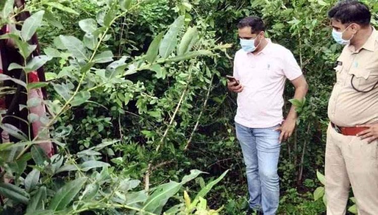 6 दिन से लापता महिला का कबीरधाम के जंगल में मिला कंकाल, पेड़ से बंधी मिली साड़ी, चूड़ियों से हुई पहचान, फैली सनसनी, फोरेंसिक जांच में जुटी पुलिस