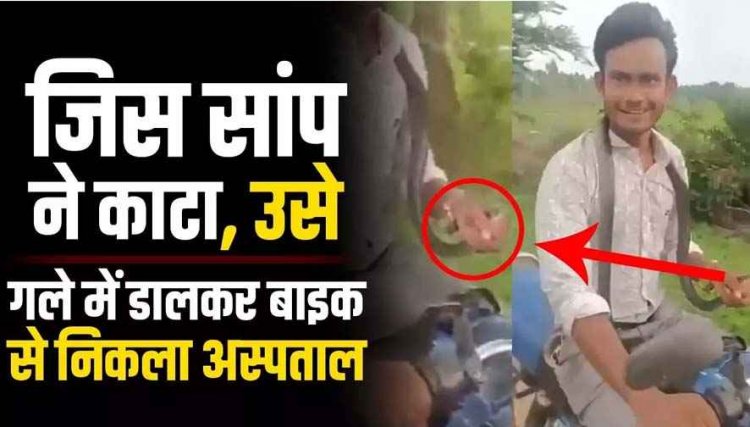 जानलेवा दुस्साहस-लोग हैरान, गले में जिंदा सांप लपेटकर अस्पताल पहुंचा युवक, बोला-‘यही है जिसने मुझे काटा, सोशल मीडिया पर वीडियो जमकर वॉयरल