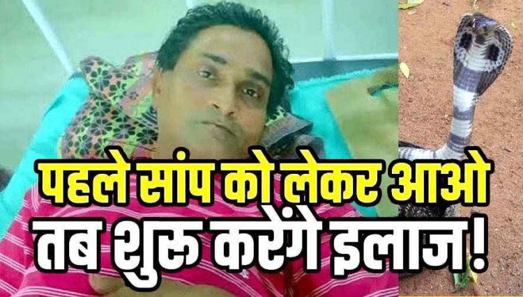 सांप ने युवक को डसा तो डॉक्टर बोले- पहले सर्प को पकड़कर लाओ, सुनकर परिजन हैरान, बिल से पकड़कर निकाला जहरीला कोबरा, फिर शुरू हुआ इलाज!
