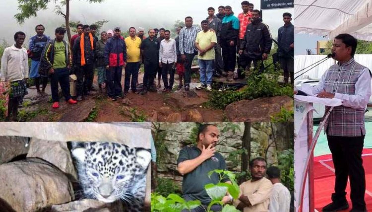 बस्तर के बीहड़ों में 48 घंटे चला 'ऑपरेशन रियूनाइट', DFO दीपेश कपिल और वन विभाग की टीम एवं ग्रामीणों की तत्परता से मिले बिछड़े तेंदुए के दो शावक