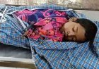 सोते समय 12 वर्षीय छात्र को करैत सांप ने डसा, एंबुलेंस नहीं पहुंची तो बाइक से निकले पिता, इलाज के दौरान छात्र ने तोड़ा दम, परिवार में पसरा मातम