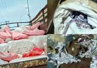 सेंट्रल जीएसटी की 3 गाड़ियों में पहुंची 12 सदस्यों की टीम ने गुटखा फैक्ट्री में मारा छापा, छापेमारी से मचा हड़कंप, 2 मशीनें और 30 बोरा माल जब्त, जांच जारी