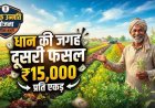 धान छोड़ दूसरी फसल लगाने वाले किसानों के लिए बड़ी खबर, कृषक उन्नति योजना में मिलेगा प्रति एकड़ 15 हजार रुपए तक का फायदा, रजिस्ट्रेशन जरुरी