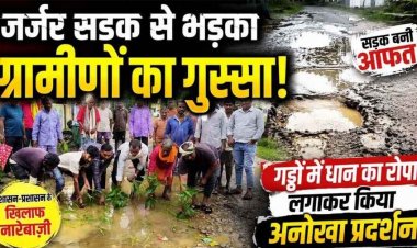 गरियाबंद में सड़क के गड्ढों में बोया धान और बेशरम का पौधा, 68 लाख की PM सड़क 1 साल में ही उखड़ी, अफसरों ने झाड़ा पल्ला तो भड़के 7 गांवों के लोग