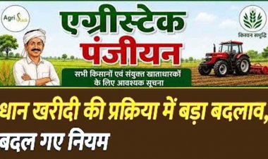 किसानों के लिए बड़ी जानकारी, धान खरीदी की प्रक्रिया में बड़ा बदलाव, एक से ज्यादा खातेदार हैं तो सभी का एग्रीस्टैक पंजीयन अनिवार्य, तभी मुखिया बेच पाएंगे धान