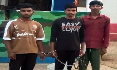 धमतरी और बेमेतरा में गौवंश तस्करी पर पुलिस की बड़ी कार्रवाई, दोनों मामलों में 7 आरोपी गिरफ्तार, 10 मवेशी बरामद, 2 पिकअप वाहन और 1 बाइक जप्त