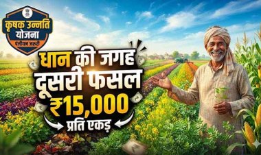 धान छोड़ दूसरी फसल लगाने वाले किसानों के लिए बड़ी खबर, कृषक उन्नति योजना में मिलेगा प्रति एकड़ 15 हजार रुपए तक का फायदा, रजिस्ट्रेशन जरुरी
