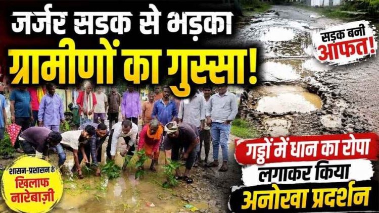 गरियाबंद में सड़क के गड्ढों में बोया धान और बेशरम का पौधा, 68 लाख की PM सड़क 1 साल में ही उखड़ी, अफसरों ने झाड़ा पल्ला तो भड़के 7 गांवों के लोग