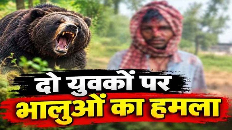 धमतरी में दो युवकों पर 4 भालुओं ने किया हमला, बाल-बाल बची एक की जान, दूसरा गंभीर, पोंड, कूटेना और कुकदा के ग्रामीणों को सतर्क रहने की सलाह