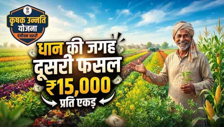 धान छोड़ दूसरी फसल लगाने वाले किसानों के लिए बड़ी खबर, कृषक उन्नति योजना में मिलेगा प्रति एकड़ 15 हजार रुपए तक का फायदा, रजिस्ट्रेशन जरुरी
