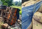 नेशनल हाईवे 30 पर दर्दनाक हादसा, खेत में जा गिरा चावल लेकर निकला ट्रक, केबिन में फंसे ड्राइवर ने मौके पर तोड़ा दम, मची अफरा-तफरी