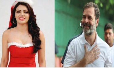 Sherlyn Chopra On Rahul Gandhi: राहुल गांधी से शादी करना चाहती हैं शर्लिन चोपड़ा, हमसफर बनाने से पहले रखी ये शर्त 