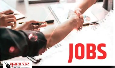 CG JOB: इन बड़ी कंपनियों में रोजगार के सुनहरे अवसर, 85 पदों पर होगी भर्ती, जानिए कैसे करें अप्लाई 