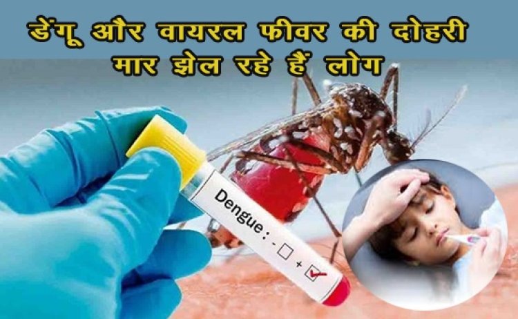 Dengue & Viral Fever Alert : डेंगू और वायरल फीवर की दोहरी मार झेल रहे हैं लोग, 30 से 40% बढ़ी पैरासिटामॉल की बिक्री 